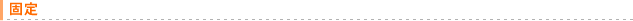 固定