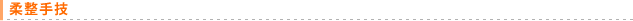 柔整手技